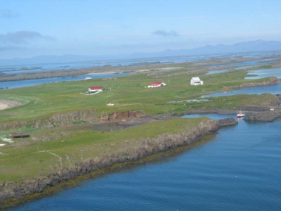 Almennt_425